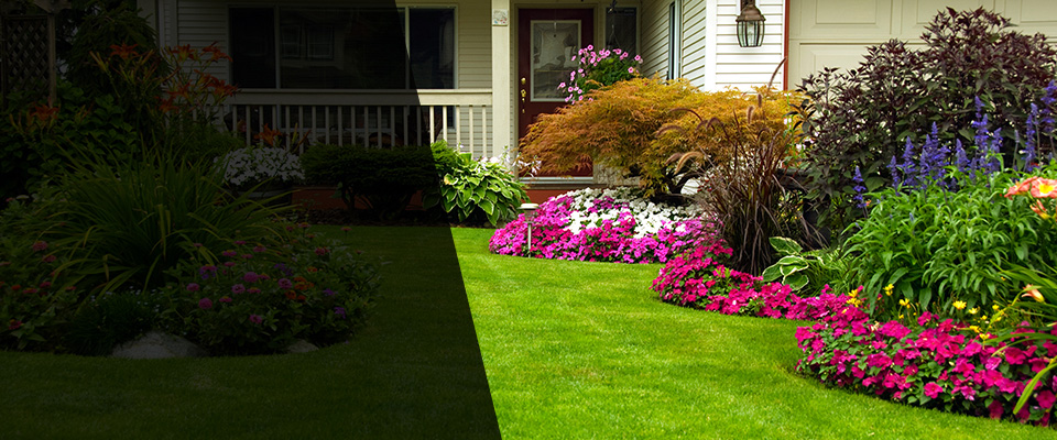 Elkin Landscapers