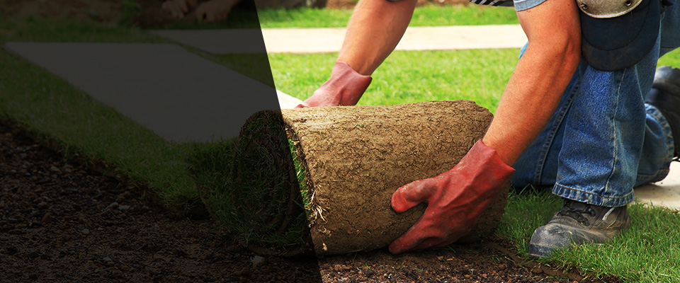 Elkin Landscapers